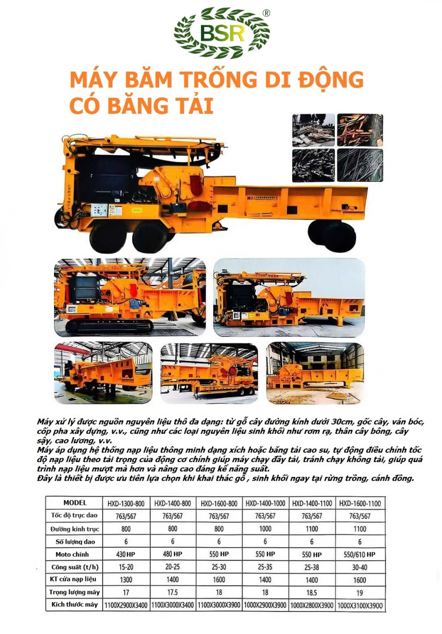 CATALOUGE SẢN PHẨM NĂM 2026 CTY TNHH GỖ BSR (TPHCM)