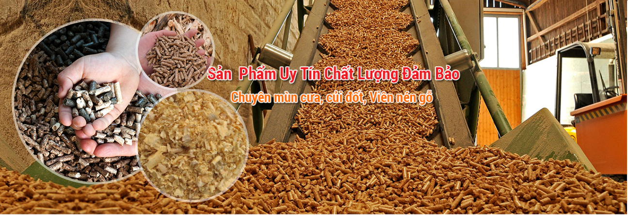 Năng lượng tái tạo