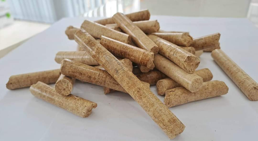 Viên nén bã mía (Sugarcane pellet) 8mm