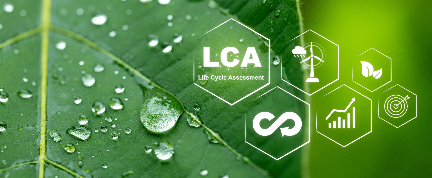 Lập báo cáo đánh giá vòng đời sản phẩm LCA