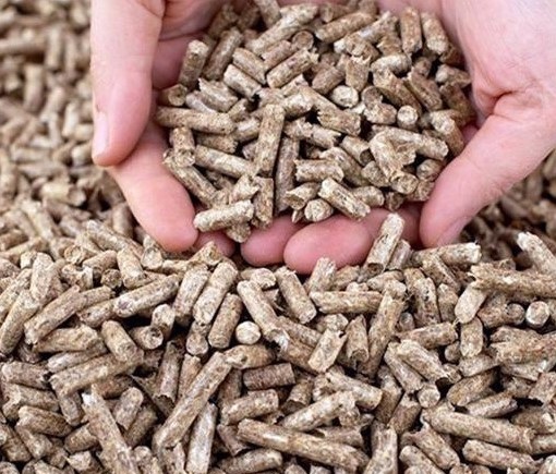 Viên nén gỗ (woodpellets)