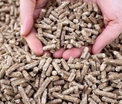 Viên nén gỗ (woodpellets)