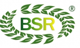 NHÃN HIỆU BSR CỦA CÔNG TY TNHH GỖ BSR