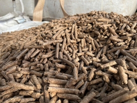 Tổng quan ngành viên nén gỗ woodpellet Việt Nam hiện nay 2026
