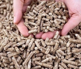 Viên nén gỗ (woodpellets)