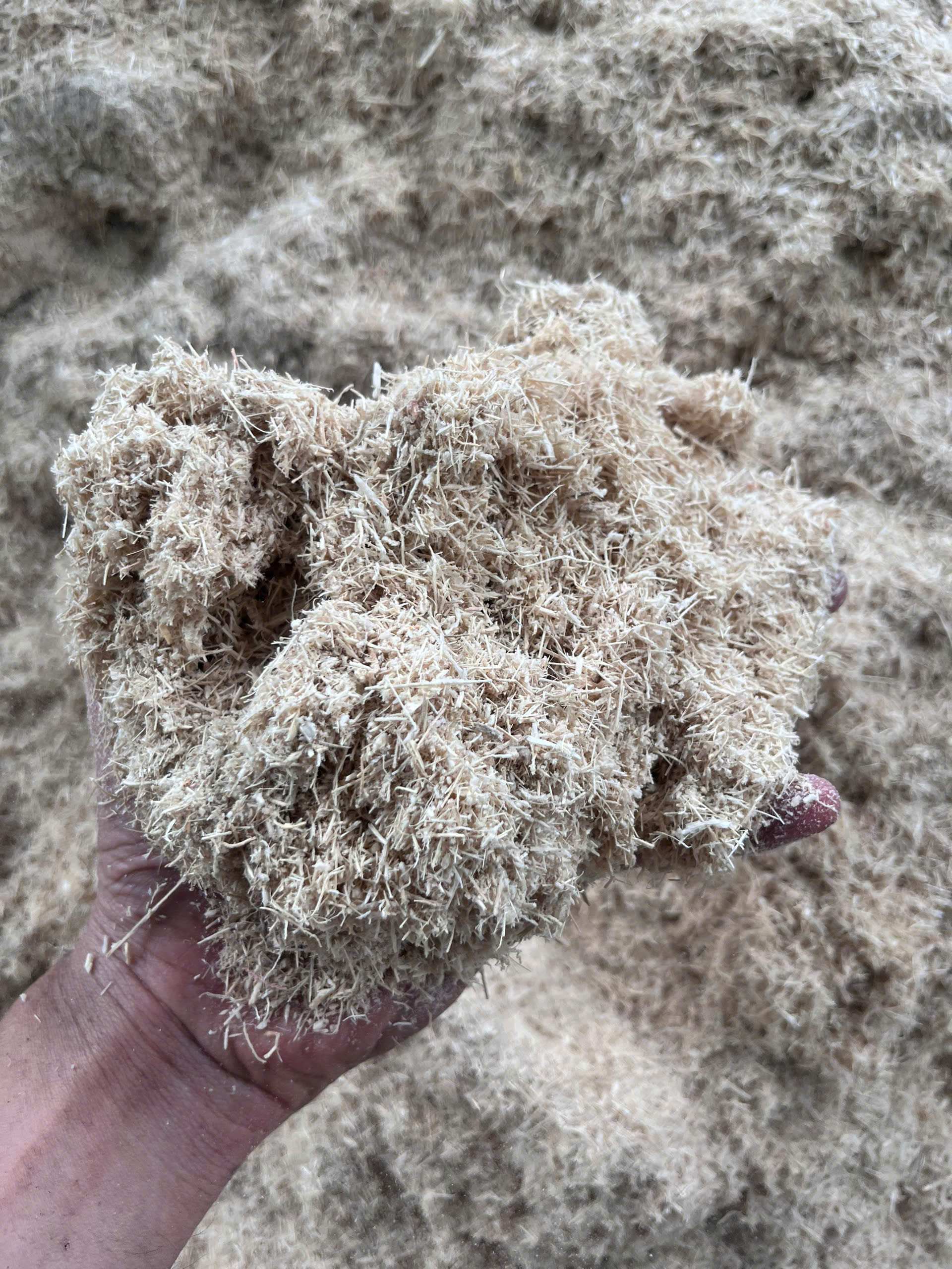 Bã mía nghiền dưới 5cm