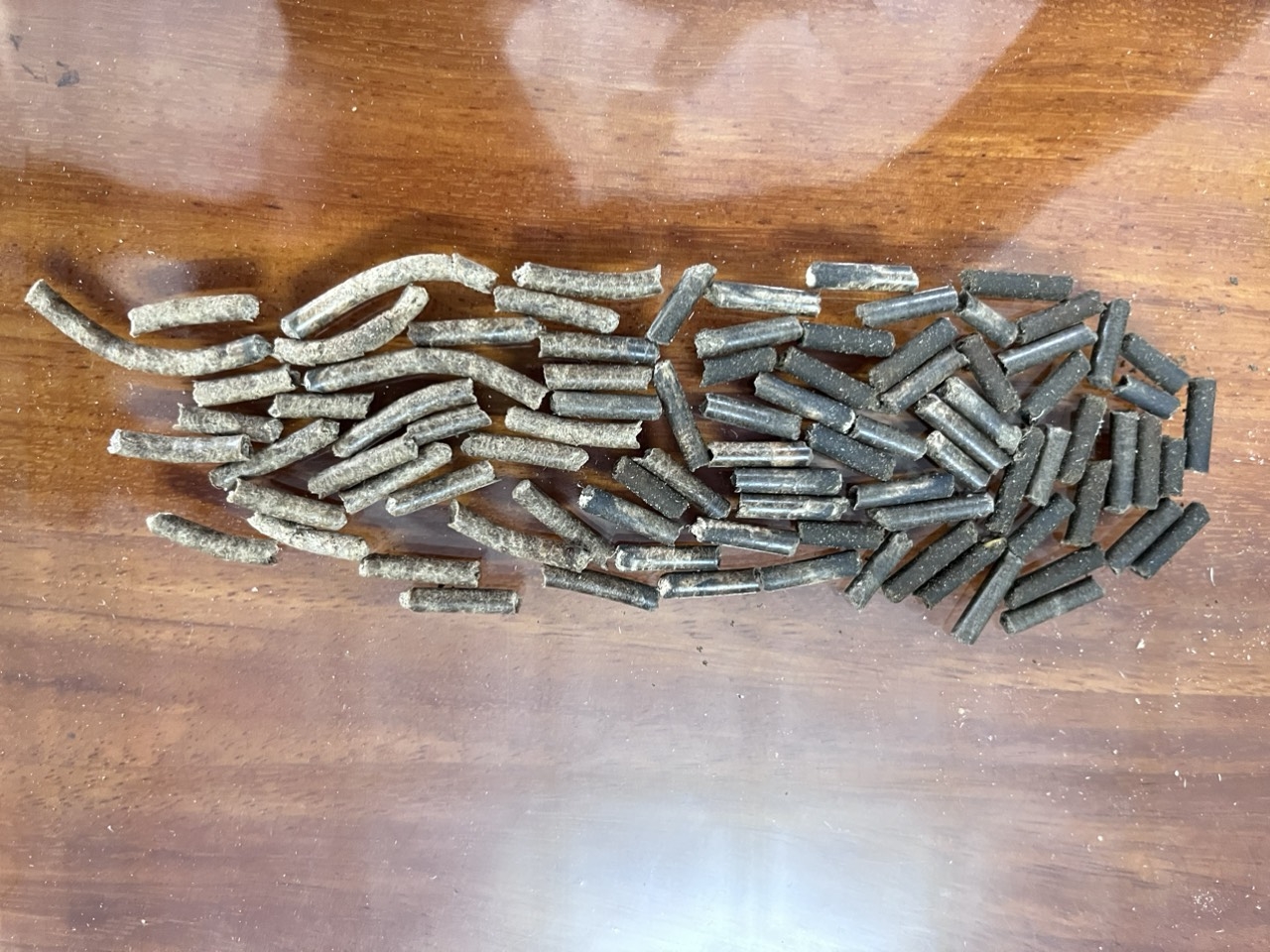 Viên nén bã mì Tapioca pellet